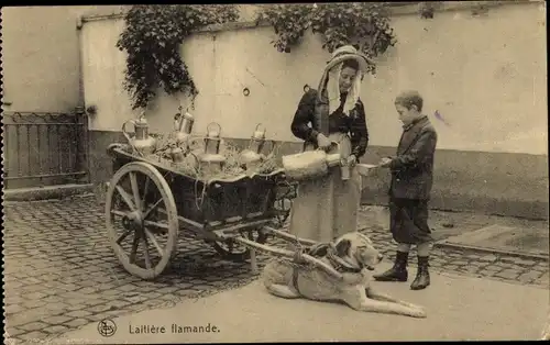 Ak Laitiere flamande, Milchverkäuferin, Hundekarren