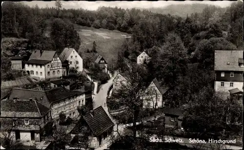 Ak Schöna Sächsische Schweiz, Hirschgrund