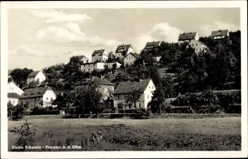 Ak Prossen Bad Schandau Sächsische Schweiz, Blick auf den Ort
