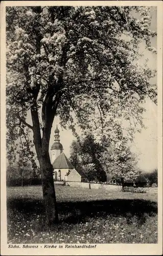 Ak Schöna Reinhardtsdorf in Sachsen, Blick zur Kirche, Baum