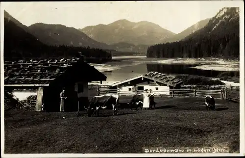 Ak Ruhpolding in Oberbayern, Lödensee, Kühe, Häuser