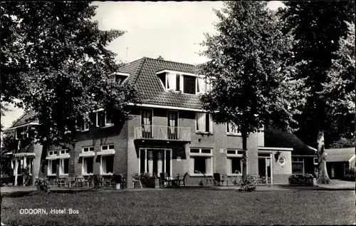 Ak Odoorn Drenthe Niederlande, Hotel Bos