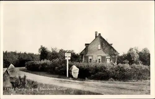 Ak Gieten Drenthe Niederlande, Ingang Staatsbosch