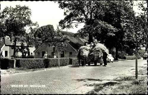 Ak Hooghalen Drenthe Niederlande, Straßenpartie, Fuhrwerk