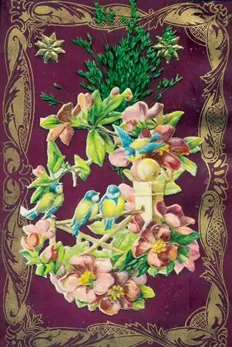 Zelluloid Ak Vögel, Vogelhäuschen, Blumen