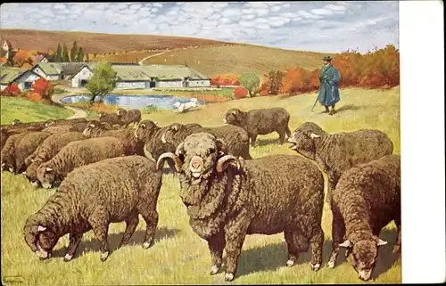 Künstler Ak Meinholds Tierbild Nr. 10, Schaf, Schafherde mit Schäfer
