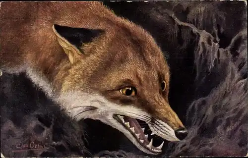 Künstler Ak Oehme, Elsa, Der Fuchs, Primus 854