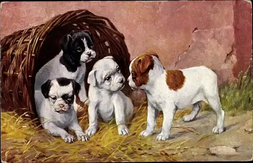 Ak Ein Eindringling, junge Hunde, Welpen