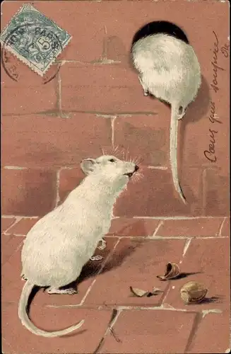 Künstler Ak Weiße Ratten, Loch in einer Backsteinmauer, Nussschale