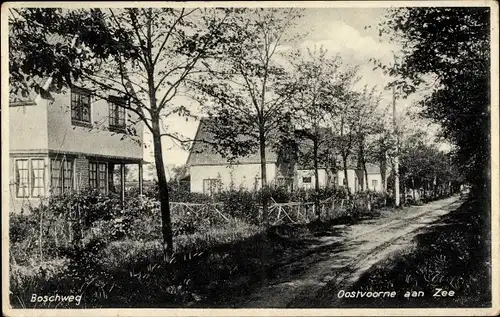 Ak Oostvoorne aan Zee Südholland, Boschweg