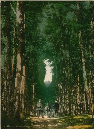 Foto Lutherstadt Eisenach in Thüringen, Hohe Sonne, Wartburg, Photochrom Zürich