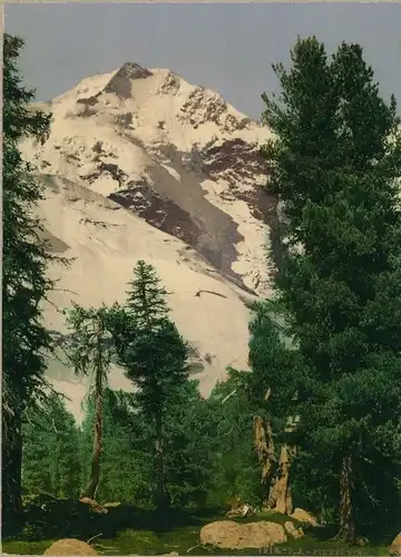 Foto Pontresina Kanton Graubünden Schweiz, Piz Bernina, Photochrom Zürich