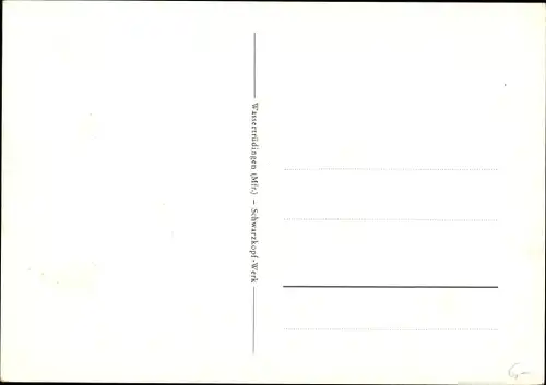 Ak Wassertrüdingen in Mittelfranken, Schwarzkopf Werk