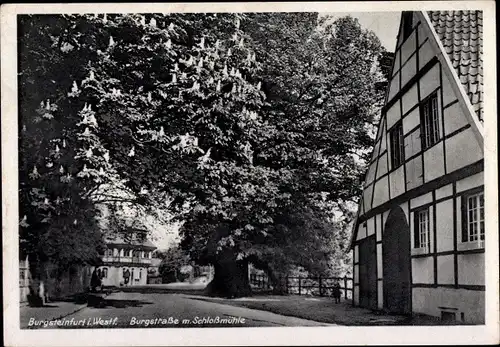 Ak Burgsteinfurt Steinfurt im Münsterland, Burgstraße mit Schloßmühle