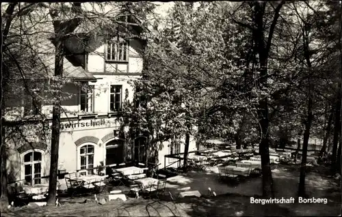 Ak Dresden Schönfeld Weißig Borsberg, Bergwirtschaft, Terrasse