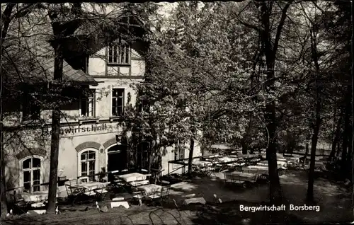 Ak Dresden Schönfeld Weißig Borsberg, Bergwirtschaft, Terrasse