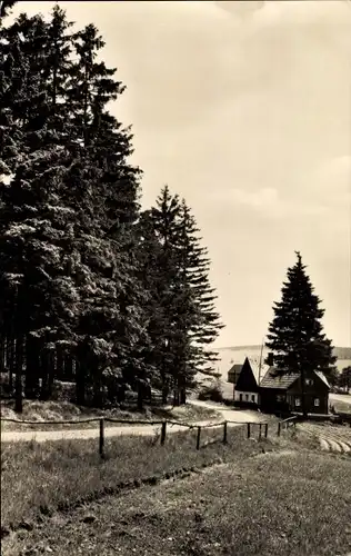 Ak Brüderwiese Deutscheinsiedel Deutschneudorf im Erzgebirge, Wegpartie am Waldrand