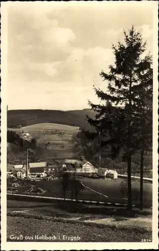 Ak Hallbach Olbernhau im Erzgebirge Sachsen, Panorama vom Ort