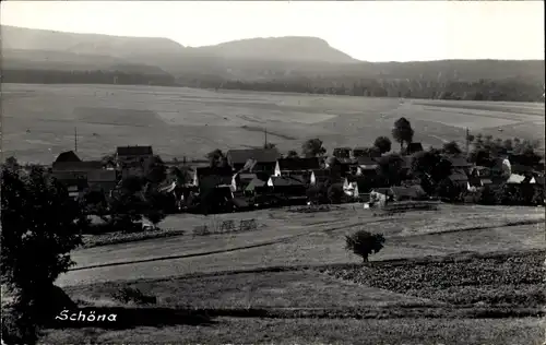 Ak Schöna Sächsische Schweiz, Gesamtansicht