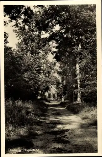 Ak Haamstede Zeeland Niederlande, Duinweg