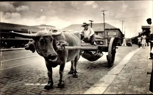 Ak Carabao Cart, Fuhrwerk, Rind, Straßenpartie