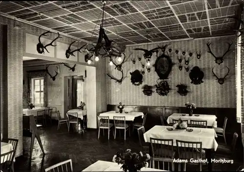 Ak Moritzburg in Sachsen, Adams Gasthof