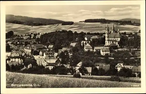 Ak Schirgiswalde in Sachsen, Kirche, Panorama