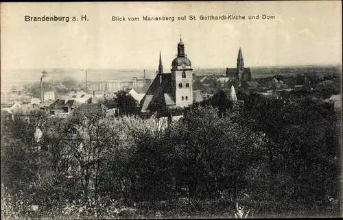 Ak Brandenburg an der Havel, Blick vom Marienberg auf St. Gotthardt-Kirche und Dom