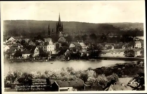 Ak Werder an der Havel, Inselstadt-Panorama, Baumblüte