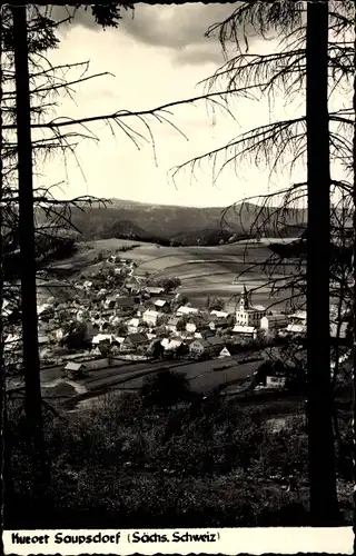 Ak Saupsdorf Sebnitz Sachsen, Panorama