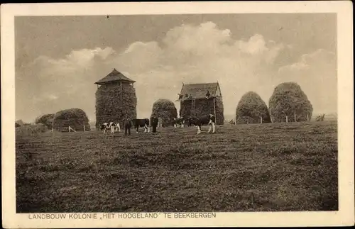 Ak Beekbergen Gelderland, Landbouw Kolonie Het Hoogeland