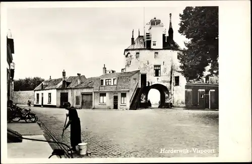 Ak Harderwijk Gelderland, Vispoort