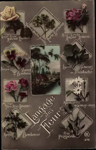 Ak Langage des Fleurs, Blumensprache