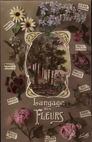 Ak Langage des Fleurs, Blumensprache