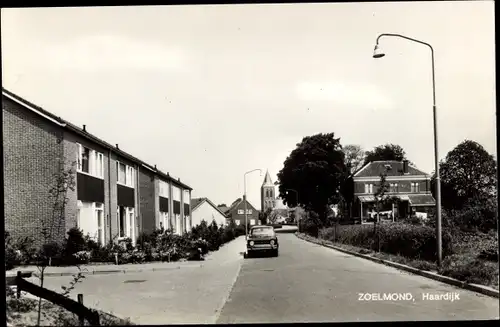 Ak Zoelmond Gelderland, Haardijk