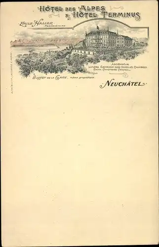 Litho Neuchâtel Neuenburg Stadt, Hotel des Alpes, Hotel Terminus