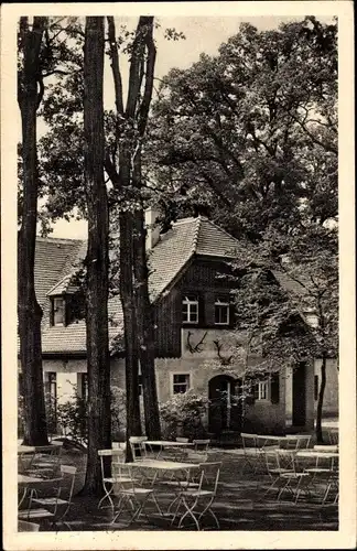 Ak Moritzburg in Sachsen, Jagdschloss, Terrasse der Kurfürstlichen Waldschenke