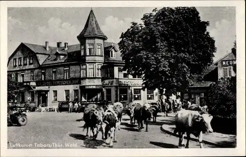 Ak Tabarz im Thüringer Wald, Straßenpartie, Viehtrieb, Hotel Deutscher Hof