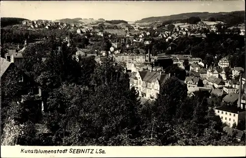 Ak Sebnitz in Sachsen, Blick auf den Ort