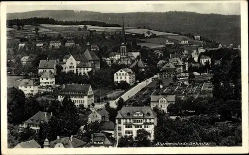 Ak Sebnitz Sachsen, Panorama, Kirche