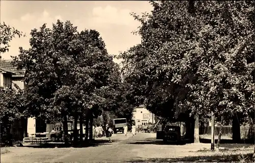 Ak Kolberg in der Mark, Dorfeingang, Passanten, Allee