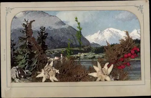Material Ak Gebirgslandschaft, Edelweiß, Farn, Gräser