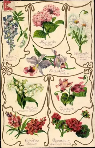 Präge Ak Langage des Fleurs, Blumensprache, Glycine, Hortensia, Orchidées, Muguet, Geranium