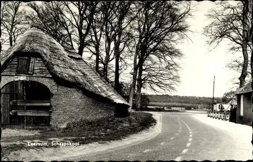 Ak Leersum Utrechtse Heuvelrug Utrecht, Schaapskooi