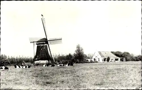 Ak Kollum Kollumerland en Nieuwkruisland Friesland Niederlande, Molen