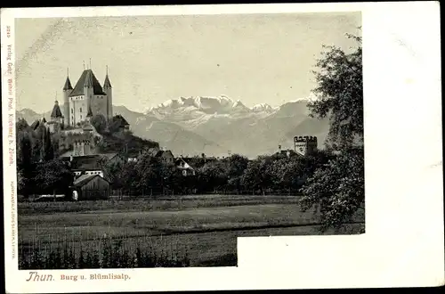 Ak Thun Kt. Bern Schweiz, Burg und Blümlisalp