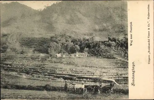 Ak Sindanglaya Java Indonesien, Weg naar Poentjak