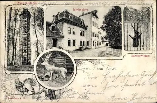 Ak Sondershausen im Kyffhäuserkreis Thüringen, Possen, Aussichtsturm, Bärenzwinger, Jagdschloss