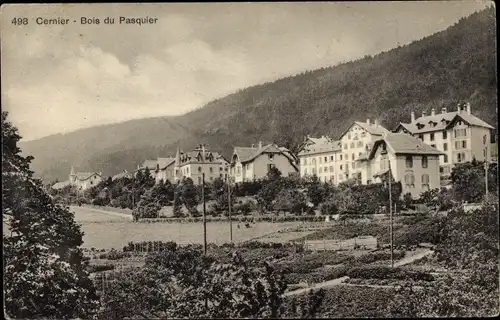 Ak Cernier Kanton Neuenburg, Bois du Pasquier