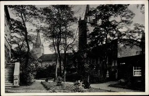 Ak Aschersleben im Salzlandkreis, Johannispromenade mit Blick zur Kirche